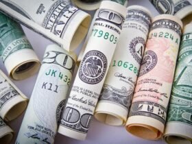 Forecasting Software - Finance - Passive and active income Passive and active income