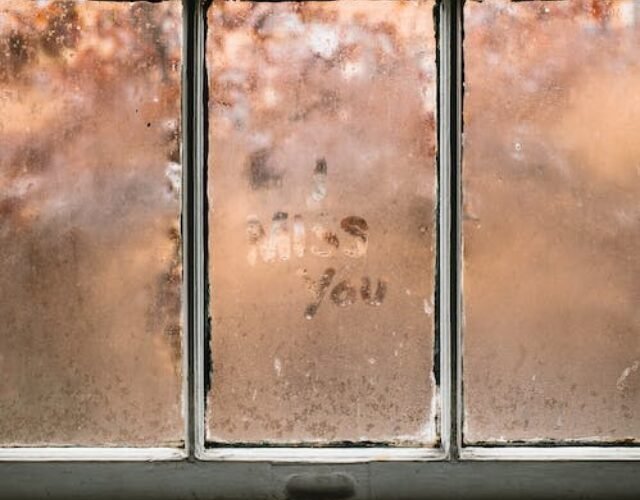 - Individuality Individuality