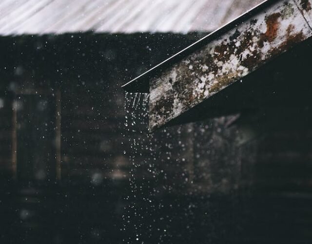 - Rainy Season Rainy Season