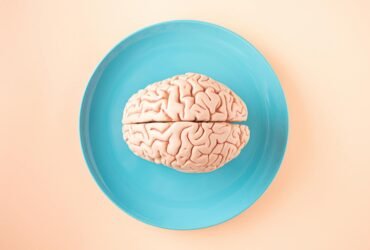 brain model on plate