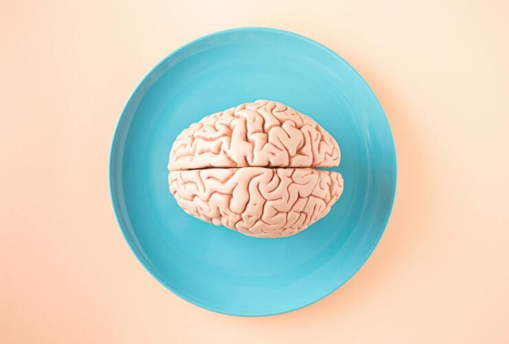 Neurodiversity - Neurodiversity - brain model on plate brain model on plate