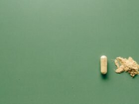 Anti-wrinkle - Health - Creatine gummies vs powder Creatine gummies vs powder