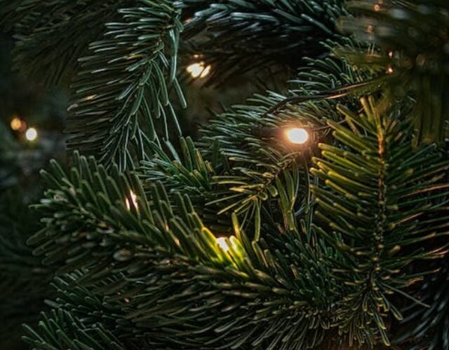 - Christmas Decoration Christmas Decoration