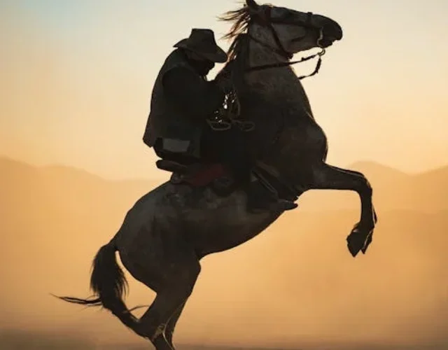 - Rodeo Rider Rodeo Rider