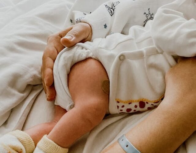 - pexels-photo-9709575 pexels-photo-9709575