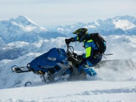 Aloe Vera Plant - General - Most Extreme Sports Most Extreme Sports