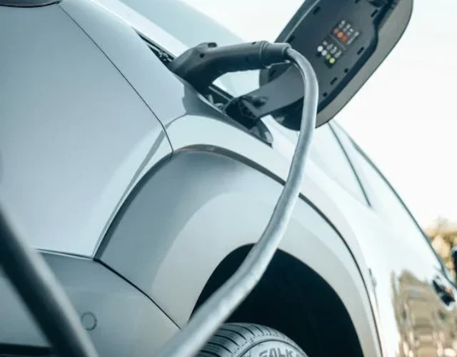 - pexels-photo-9799996 pexels-photo-9799996