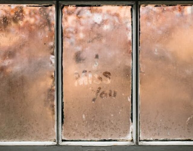 - pexels-photo-4436700 pexels-photo-4436700