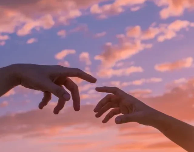 - pexels-photo-5795688 pexels-photo-5795688