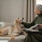 Senior Dog Care