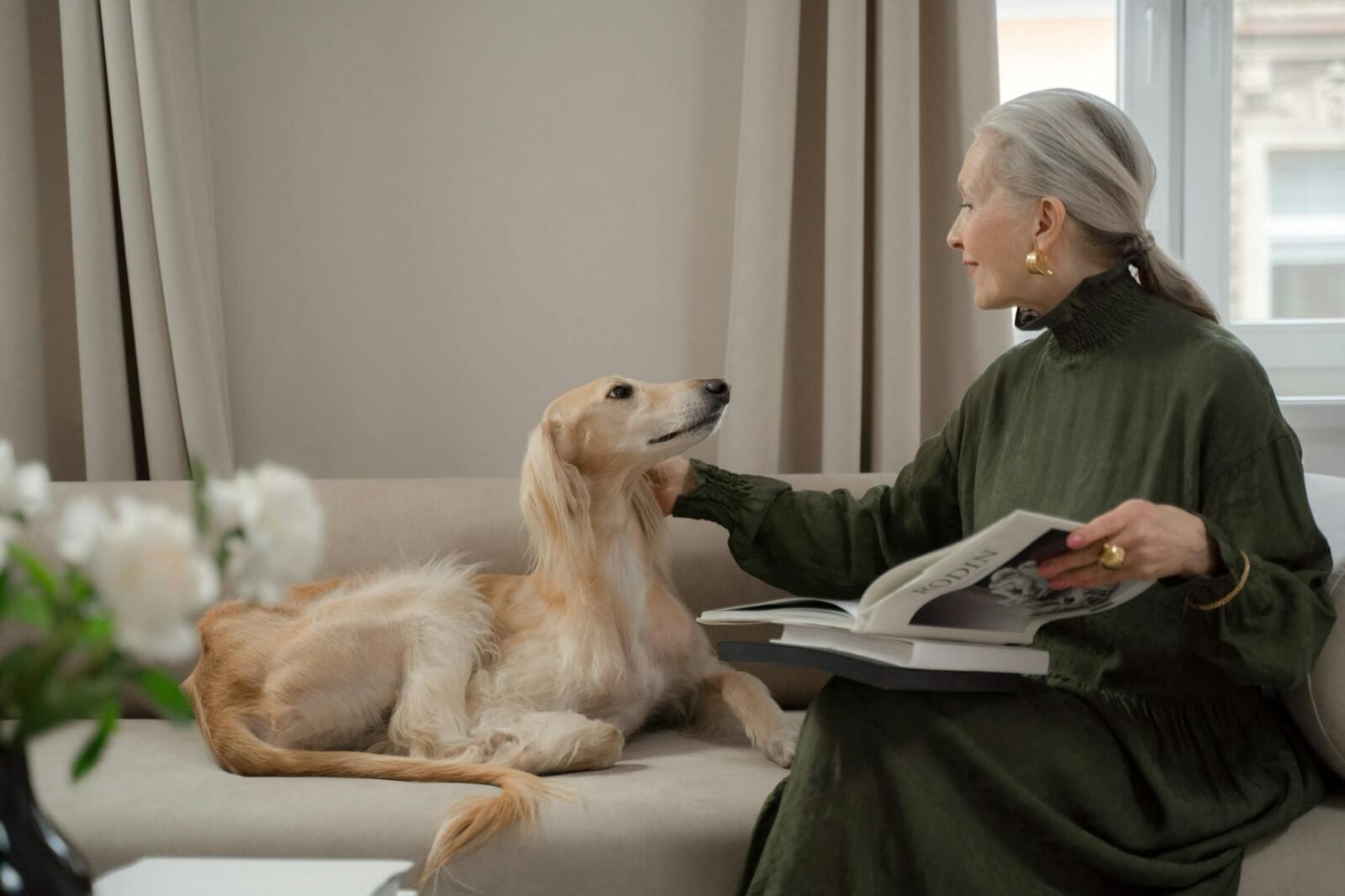 Senior Dog Care - General - Senior Dog Care Senior Dog Care