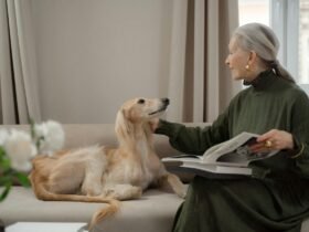 Fruit Flies - General - Senior Dog Care Senior Dog Care