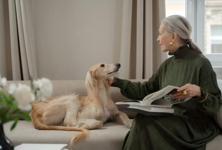 Beauty Self Care Routine - Care - Senior Dog Care Senior Dog Care