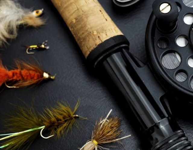 - pexels-photo-3690705 pexels-photo-3690705