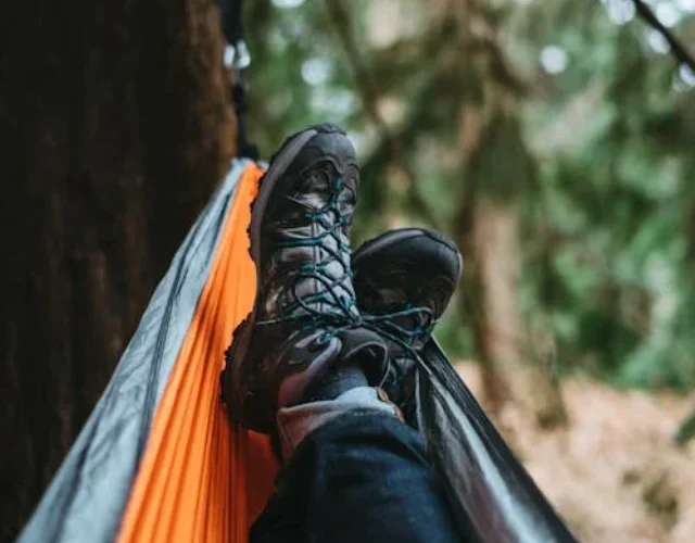 - pexels-photo-755871 pexels-photo-755871