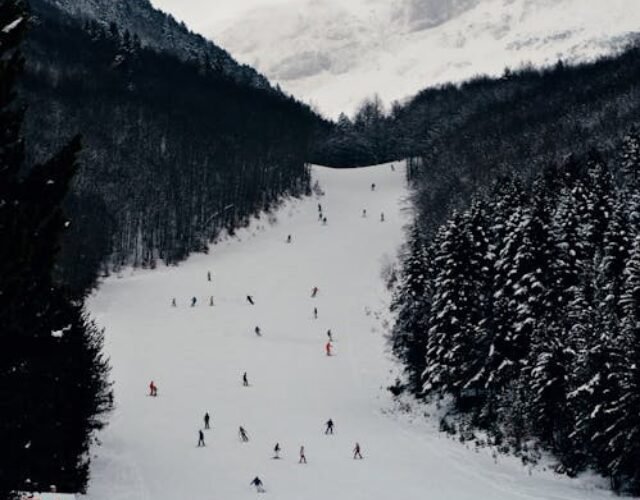 - pexels-photo-896815 pexels-photo-896815