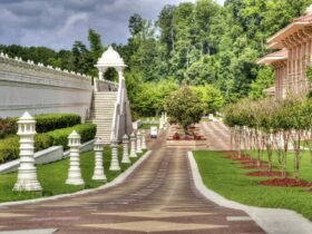 Indie Music - General - Gardening Gardening