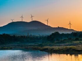 Technology and Nature - Earth & Science | Technology - Budget-Friendly Tech Solutions Budget-Friendly Tech Solutions