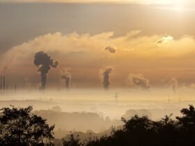 vegan - General - Carbon Reduction Strategy Carbon Reduction Strategy